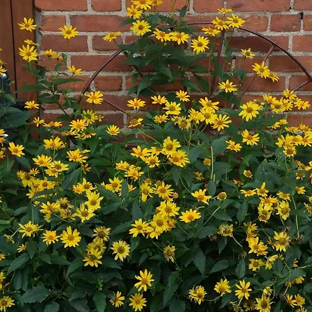 Agro Przy Kominku Rozogi