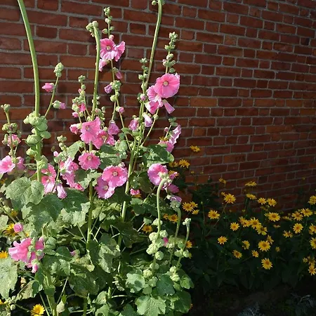 Çiftlik konaklama Agro Przy Kominku Rozogi