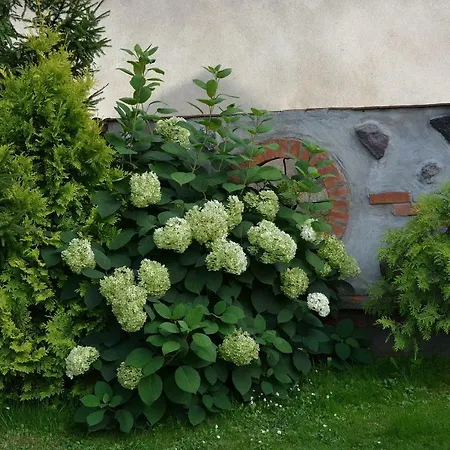 Farma Agro Przy Kominku