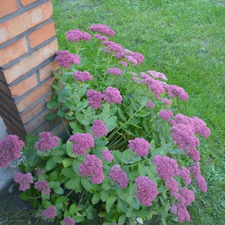 Farma Agro Przy Kominku *